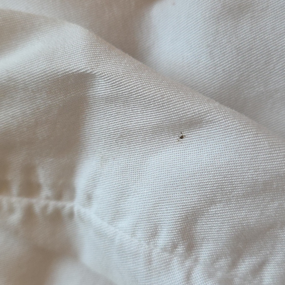 Lucky Brand White Classic Button-up Size M - Picture 15 of 15